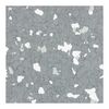 DESCO EUROPE / VERMASON 8443FS