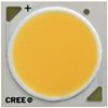 CREE LED CXA2520-0000-000N00R250F