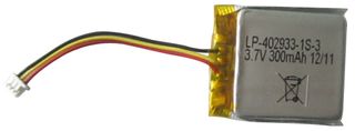 BAK TECHNOLOGY LP-402933-IS-3