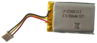 BAK TECHNOLOGY LP-523450-IS-3